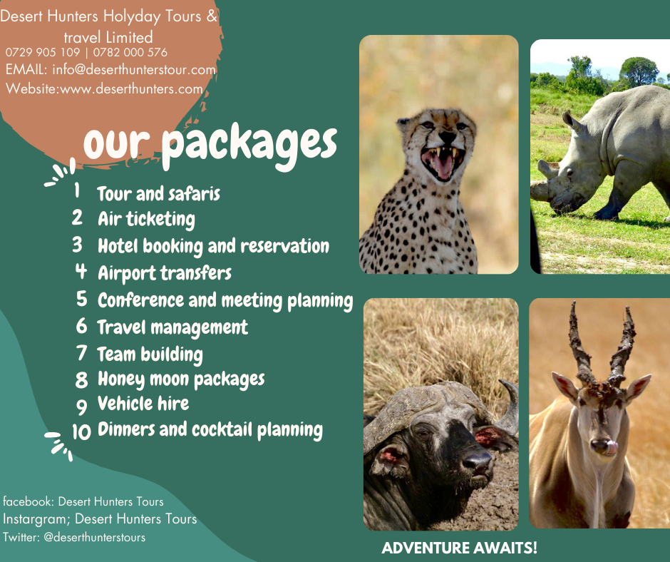 OUR PACKAGES